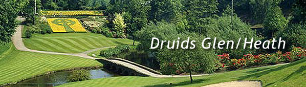 Druids Glen - Heath