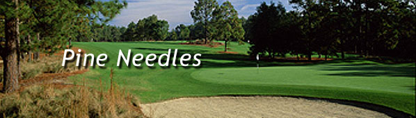 Pine Needles