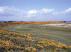 Royal Dornoch