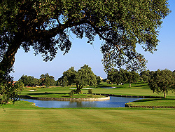 San Roque New 3